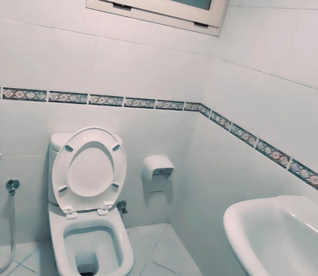 Mbz - New Fabulous Room In Unique Flat Abu Dhabi